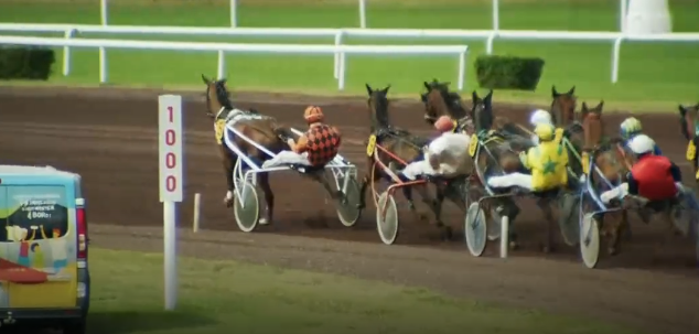 Vente de chevaux de course au trot en part de 10 ou 15 Achetez votre part de cheval trotteur en association Haras de la Rogerie Philippe Nicolini vend les